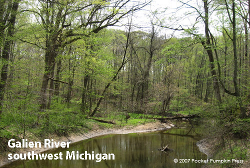 Galien River Photo