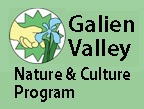 GVNCP