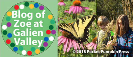 Blog of Zoe at Galien Valley, Three Oaks, Michigan, nature classes, science, art, sci-art, nature-science, nature-art, science blog, art blog