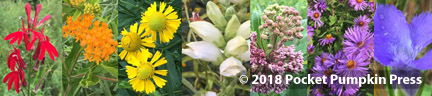 Holistic Sustainability, environment, nature, habitats, community, culture, science, art