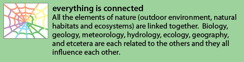everything is connected