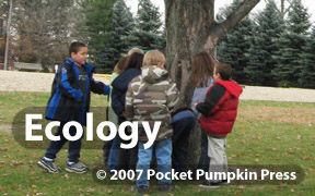 Ecology is how people, plants, and animals relate to each other within a community. 